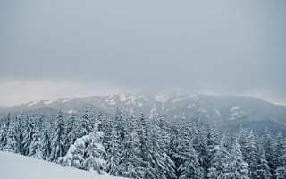 Картинка зима, снег, лес, горы, природа, пейзаж, облака