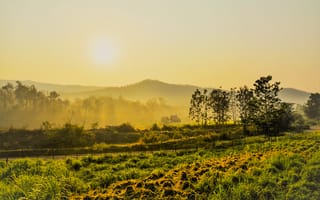 Картинка пейзаж, закат, природа, горы, деревья, трава, солнце