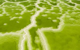 Картинка природа, водоем, зеленый, экология, ландшафт, отражение, пейзаж