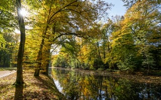 Картинка осень, природа, деревья, река, пейзаж, отражение, солнце, золотые листья, парк, тишина