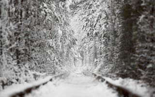 Картинка зима, снег, лес, пейзаж, природа, дорога, мир