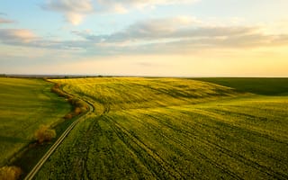 Картинка пейзаж, поля, природа, закат, зелень, дорога, небо