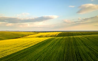 Картинка пейзаж, поля, небо, зелень, жёлтый, природа, лето