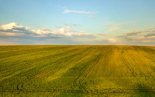 Картинка пейзаж, поле, небо, трава, природа, солнце, облака