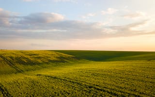 Картинка пейзаж, природа, поля, небо, зеленый, закат, лето