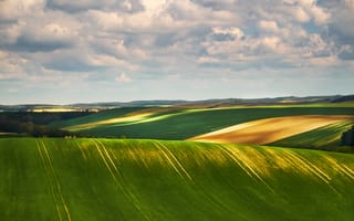 Картинка пейзаж, поля, природа, небо, зелень, облака, свет