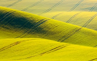 Картинка пейзаж, зеленый, холмы, природа, поля, свет, гладкий