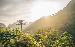 Картинка природа, горы, закат, дерево, пейзаж, зелень, освещение