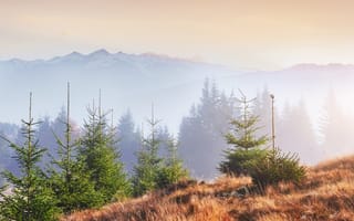 Картинка природа, горы, лес, пейзаж, туман, закат, осень