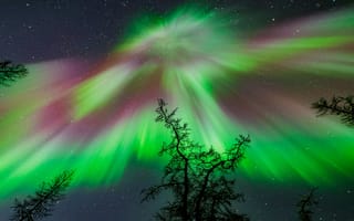 Картинка северное сияние, природа, ночное небо, звезды, лес, космос, цвета