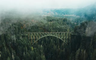 Картинка мост, лес, природа, туман, пейзаж, горы, деревья