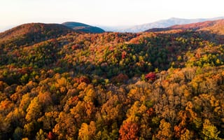 Картинка осень, пейзаж, леса, природа, горы, цвета, деревья, пейзажный, красота, отдых