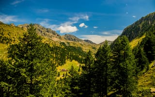 Картинка горы, природа, пейзаж, лес, небо, отдых, пейзажный