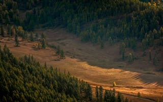 Картинка природа, лес, пейзаж, горы, осень, зелень, свет