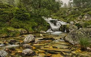 Картинка природа, водопад, река, камни, пейзаж, зелень, лес