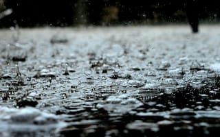 Картинка дождь, капли, вода, природа, пейзаж, осень, мокро