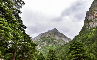 Картинка горы, природа, лес, облака, пейзаж, вода, отдых