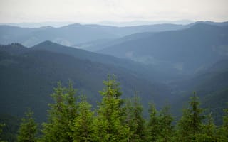 Картинка горы, природа, лес, пейзаж, вода, небо, туман