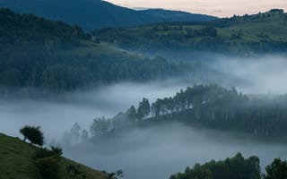 Картинка пейзаж, туман, горы, лес, природа, утро, спокойствие