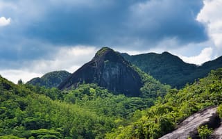 Картинка горы, природа, лес, пейзаж, облака, камни, зелень