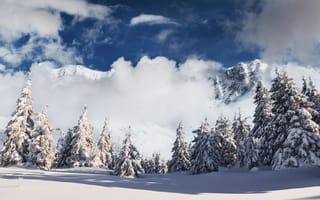 Картинка зима, снег, горы, лес, облака, природа, пейзаж