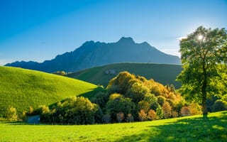 Картинка пейзаж, горы, природа, зелень, осень, деревья, небо