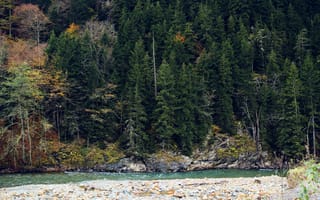 Картинка река, лес, природа, осень, пейзаж, камни, водоем