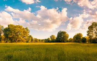 Картинка пейзаж, природа, небо, деревья, трава, облака, лето, солнце