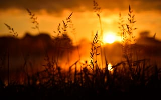 Картинка закат, природа, трава, солнце, пейзаж, освещение, красота
