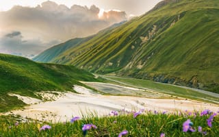 Картинка пейзаж, горы, природа, цветы, долина, небо, зелень, закат