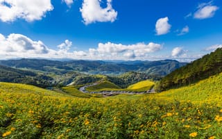 Картинка пейзаж, горы, цветы, небо, облака, природа, долина