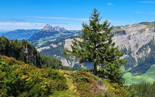 Картинка горы, природа, пейзаж, лес, дерево, небо, долина, отдых, путешествия