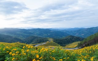 Картинка пейзаж, горы, цветы, природа, небо, долина, осень