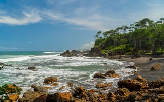 Картинка море, пейзаж, пляж, скалы, природа, деревья, солнце