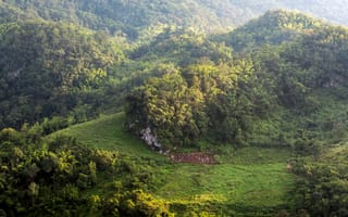 Картинка природа, горы, лес, пейзаж, зелень, холмы, отдых