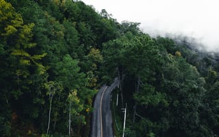 Картинка дорога, лес, природа, пейзаж, горы, туман, зелень