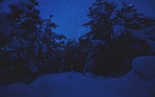 Картинка ночь, звезды, лес, снег, зима, пейзаж, темнота