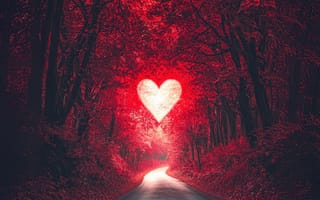 Картинка сердце, лес, дорога, красный, любовь, природа, осень