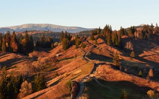 Картинка пейзаж, горы, природа, осень, лес, дорога, холмы