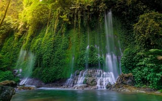 Картинка водопад, природа, зелень, лес, пейзаж, спокойствие, вода