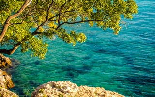Картинка природа, море, дерево, камни, пейзаж, лето, водоем