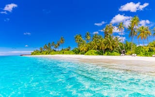 Картинка пляж, море, пальмы, отдых, пейзаж, солнце, тропики, голубая вода