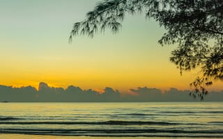 Картинка море, закат, пейзаж, природа, песок, облака, дерево