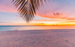 Картинка пляж, закат, море, пальма, песок, природа, отдых