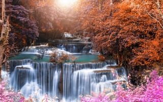 Картинка водопад, природа, осень, пейзаж, цветы, лес, солнце