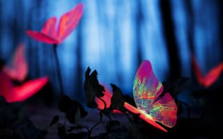 Картинка бабочки, цветы, ночь, природа, яркие цвета, фантазия, лес