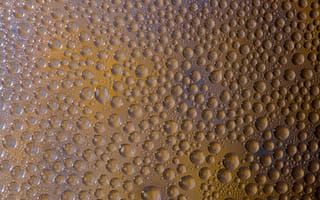 Картинка капли, вода, фоновое, текстура, дождь, прозрачный, естественный