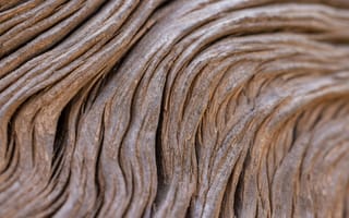 Картинка текстура, дерево, природа, фоновое изображение, абстракция, узор, гладкость