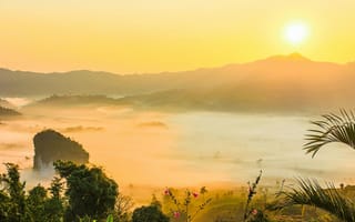 Картинка закат, природа, горы, туман, пейзаж, солнце, цветы