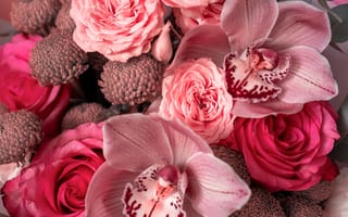 Картинка цветы, орхидеи, роза, букет, природа, красота, декор